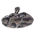 thumbnail image 3 of Hi-Line Gifts 7.75" Regius Python Outdoor Garden Statue, 3 of 5