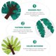 thumbnail image 5 of AURARMLET 24Ud Cake Toppers De Fieltro Y Madera Con Verde Para De Pasteles, 5 of 6