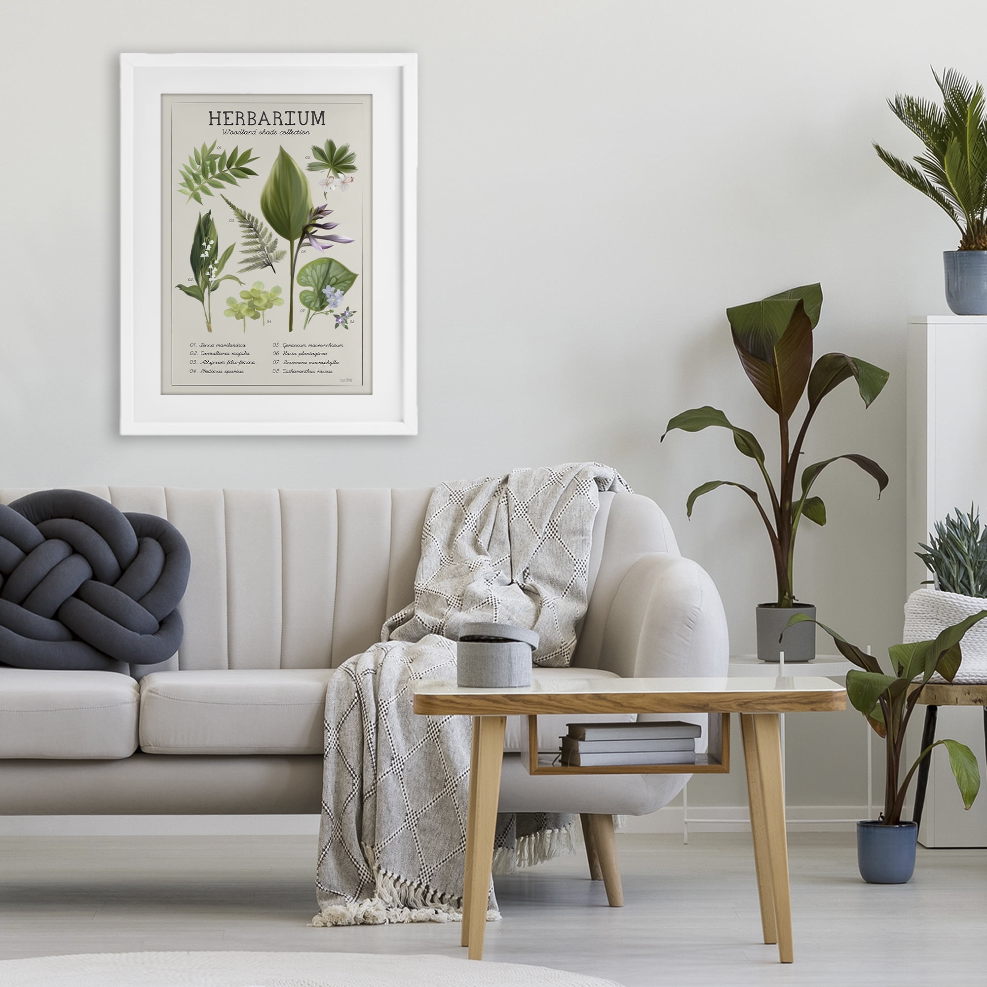 Stupell Industries Herbarium Woodland Shade Collection White Framed Print Under Glass, design by House Fenway