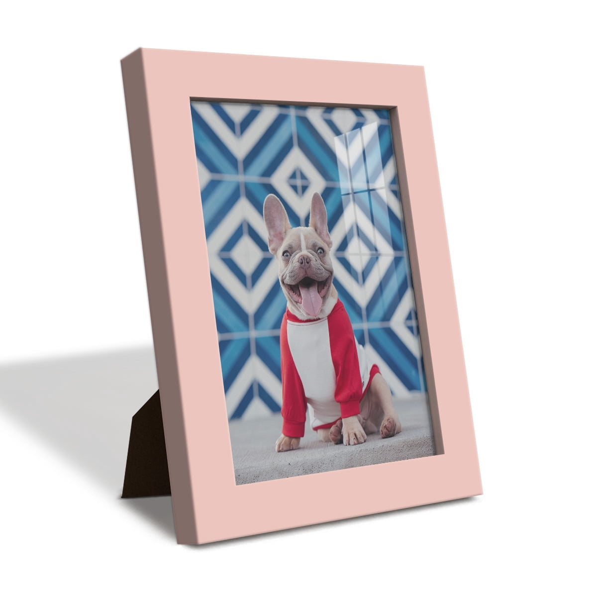 Modern 5 in. x 7 in. Pink Picture Frame (Set of 4)