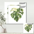 thumbnail image 4 of Tropical Green Leaves On White In Summer Times III 36 in x 36 in Painting Canvas Art Print, by Designart, 4 of 4