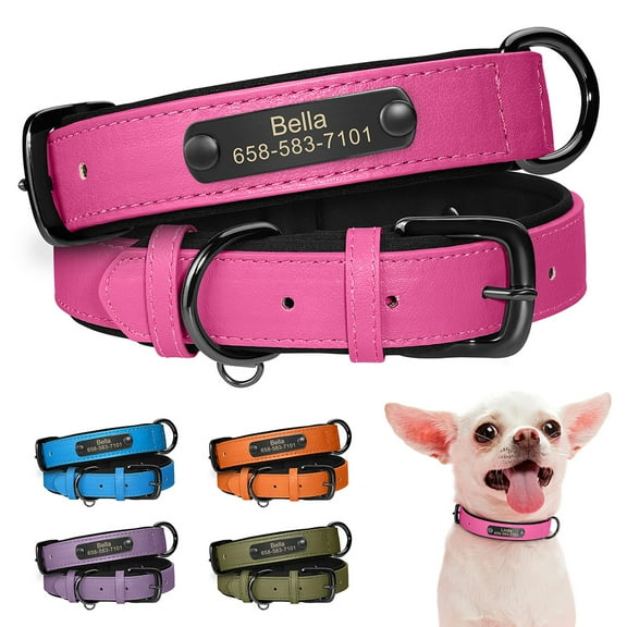 Didog Personalised Dog Collars PU Leather Padded Custom Engraved with Pet Name and Phone Number