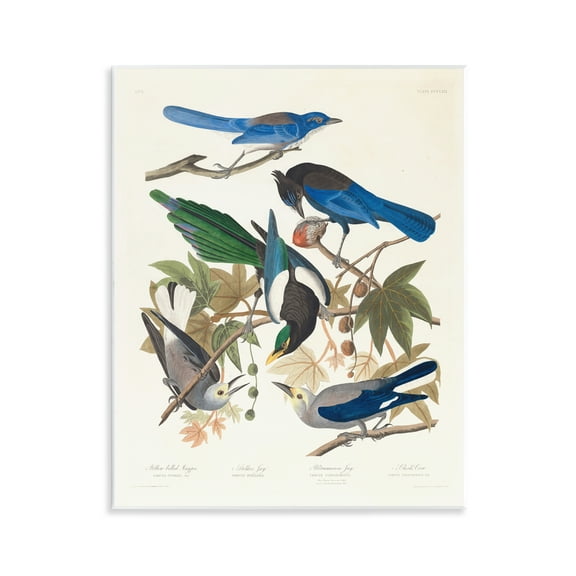 Stupell Industries Classic Yellow Billed Magpie Animals Painting Unframed Art Print Wall Art, 11 x 14