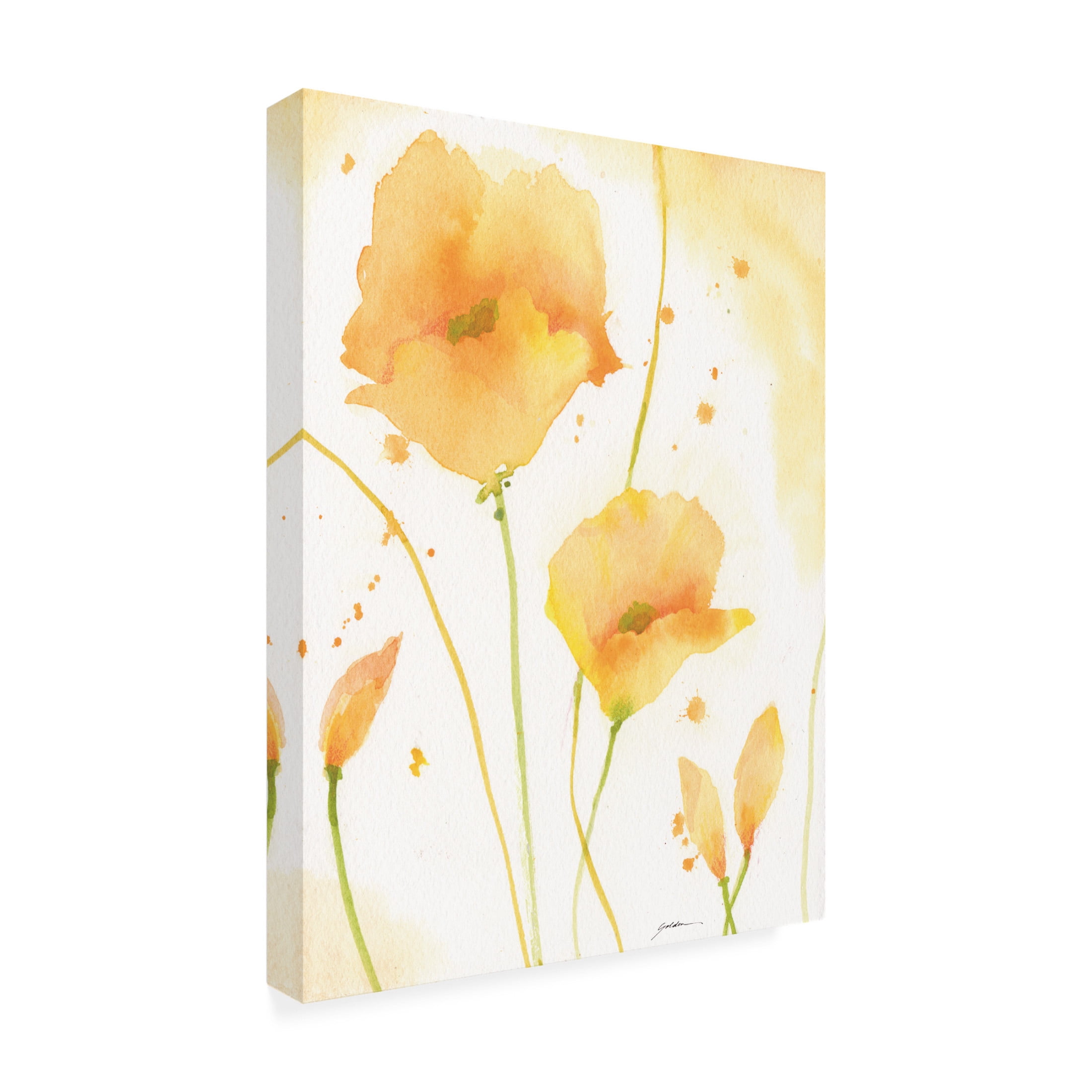 Canvas Wall Art - Sheila Golden 'Sonoma' Wall Art for Living Room, Bedroom, or Office Décor by Trademark Fine Art - 35 x 47 Inches
