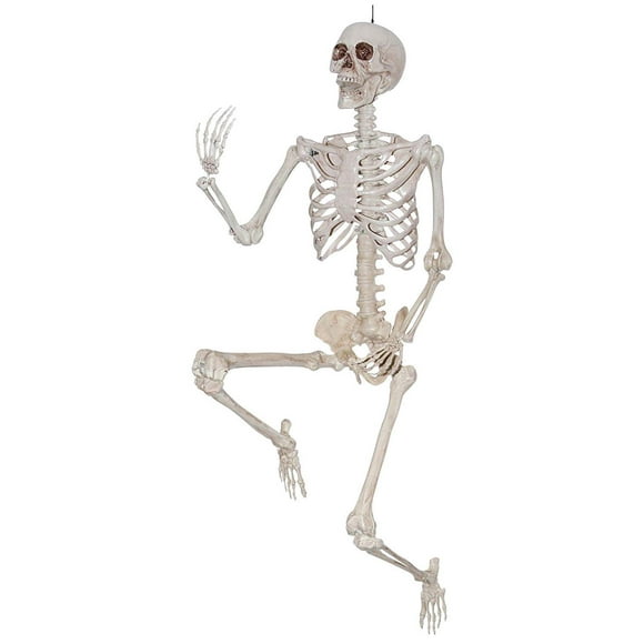 5ft Posable Squelette Full Body Halloween Prop Horreur Hanté Maison Os Décor