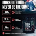 thumbnail image 3 of NutraBio STIM-Free PRE Workout for Men, New Formula | Laser Focus, Extreme Pumps | Performance, Endurance | 10g Citrulline, Beta Alanine, Nitrates, Nootropics, Electrolytes - 20 Servings Watermelon, 3 of 9