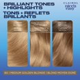 thumbnail image 2 of Coloration permanente Clairol Nice'n Easy, 2 of 9