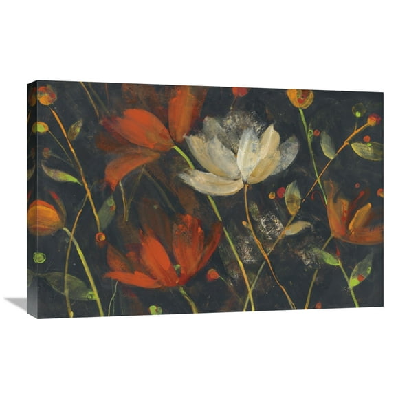 Global Gallery Albena Hristova 'Moonlight Garden I' Canvas Wall Art