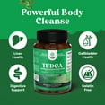 thumbnail image 5 of Natures Craft 500mg Advanced Bile Salt TUDCA Supplement, Kidney and Liver Support, 30 Capsules, 5 of 9