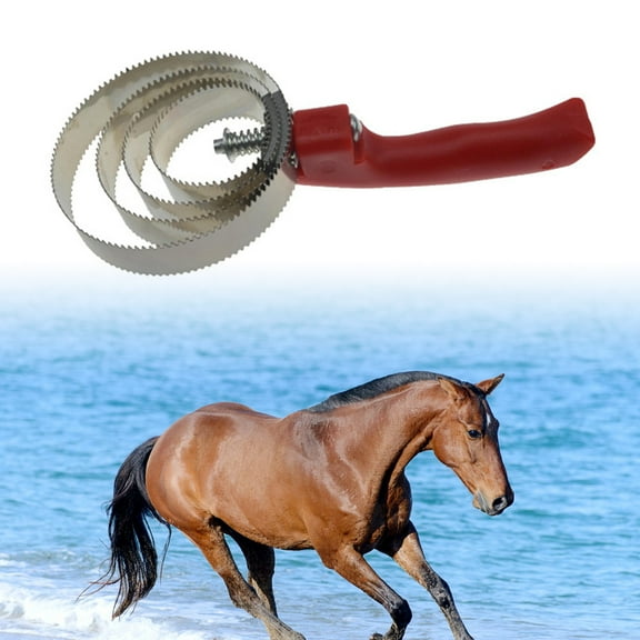 ELAYARD Horse Brush Kit Teal Ergonomic Design Stainless Steel 1Pcs for Grooming