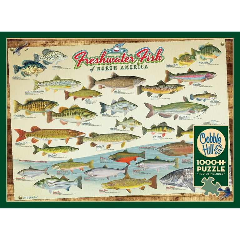 Cobble Hill 1000 Piece Puzzle: Freshwater Fish Of North America