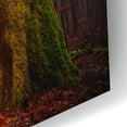 thumbnail image 3 of Epic Art 'The Unknown Path' by Epic Portfolio Acrylic Glass Wall Art, 24"x16", 3 of 8