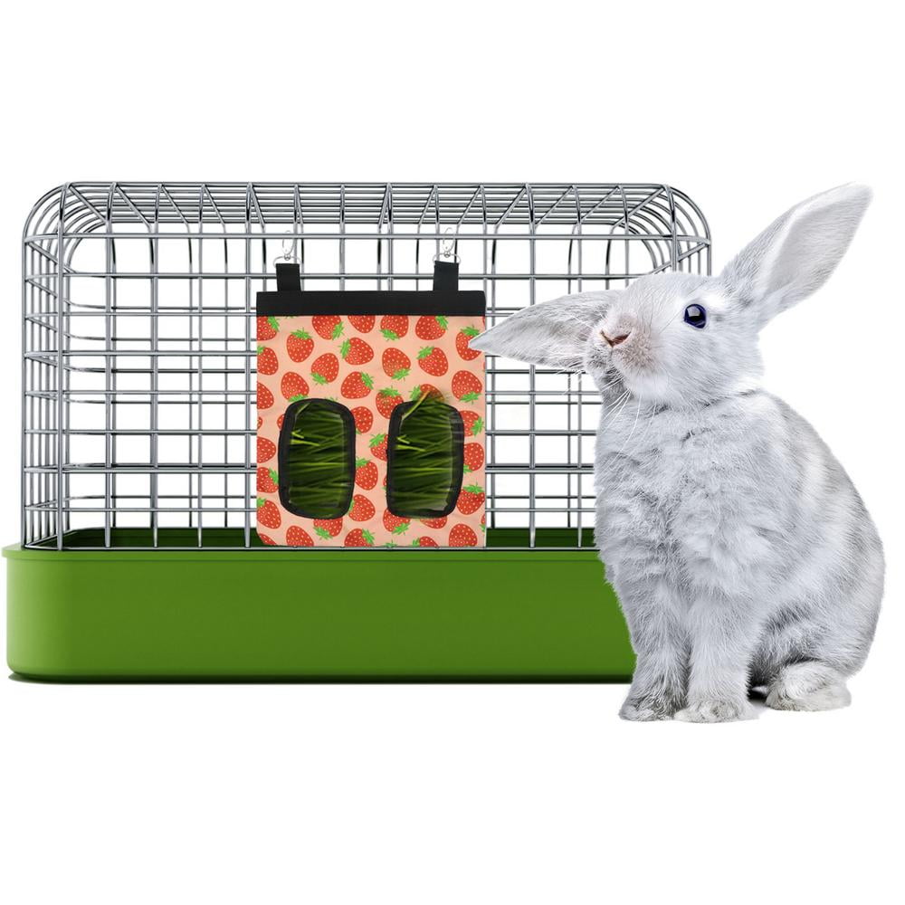 rabbit feeder walmart