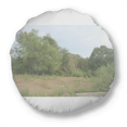 thumbnail image 1 of Coussin Rond Art Déco Jungle Décoration Maison, 1 of 3