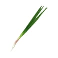thumbnail image 2 of Tnarru Artificial Vegetable Centerpiece Simulation Vegetable for Drawing Party Shop Chives, 2 of 8
