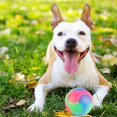 thumbnail image 3 of Pelota de juguete para mascotas Goma resistente a mordeduras Limpieza de dientes Resplandor elástico Juguete para masticar perros Ndcxsfigh  Libre de BPA, 3 of 8