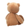 thumbnail image 4 of Bedtime Originals Animal Alphabet Plush Brown Bear Stuffed Animal Toy, 4 of 6