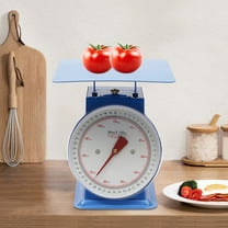 110LBS Heavy Duty Mechanical Weighing Scale Industrial Food Market Dial Scale Industrial Dial Scale, with Iron Platform, Dual-Scale Dial with an Accuracy of 0.1kg/0.22 lbs