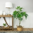 thumbnail image 2 of Northlight 4' Artificial Unbraided Potted Green Money Tree, 2 of 7