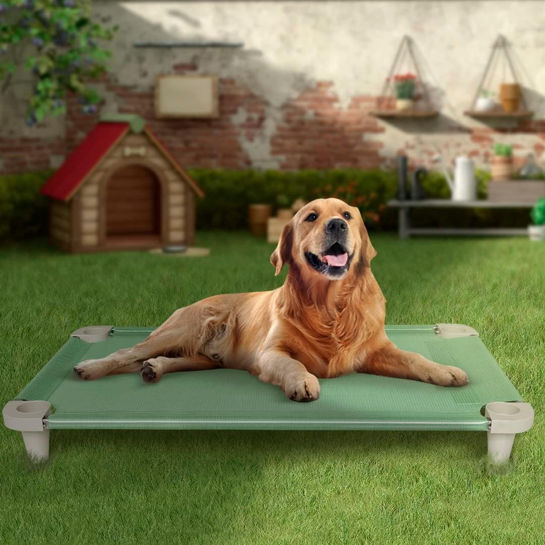 Acrimet Elevated Cooling Dog Bed, Breathable Mesh Cot, Stainless Steel Frame, Fits Dogs Up to 110 lb, Green, 40 x 24 in