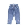 thumbnail image 2 of HAOTAGS Jeans for Toddler Girls（2-6）Cute Graphic Elastic Waist Casual Soft Cotton Pants Blue Size 2 Years, 2 of 3