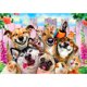 thumbnail image 3 of 5D bricolaje completo taladro diamante pintura perros cruz puntada bordado mosaico kits Likrtyny decoración de arte, 3 of 9