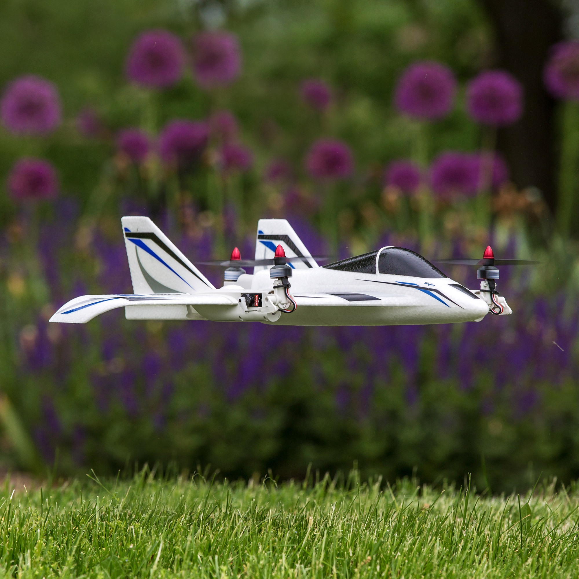 mini convergence vtol bnf basic