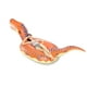 thumbnail image 4 of Flotador inflable con forma de dinosaurio Jasonwell T-Rex de 3,15 m para niños, 4 of 7