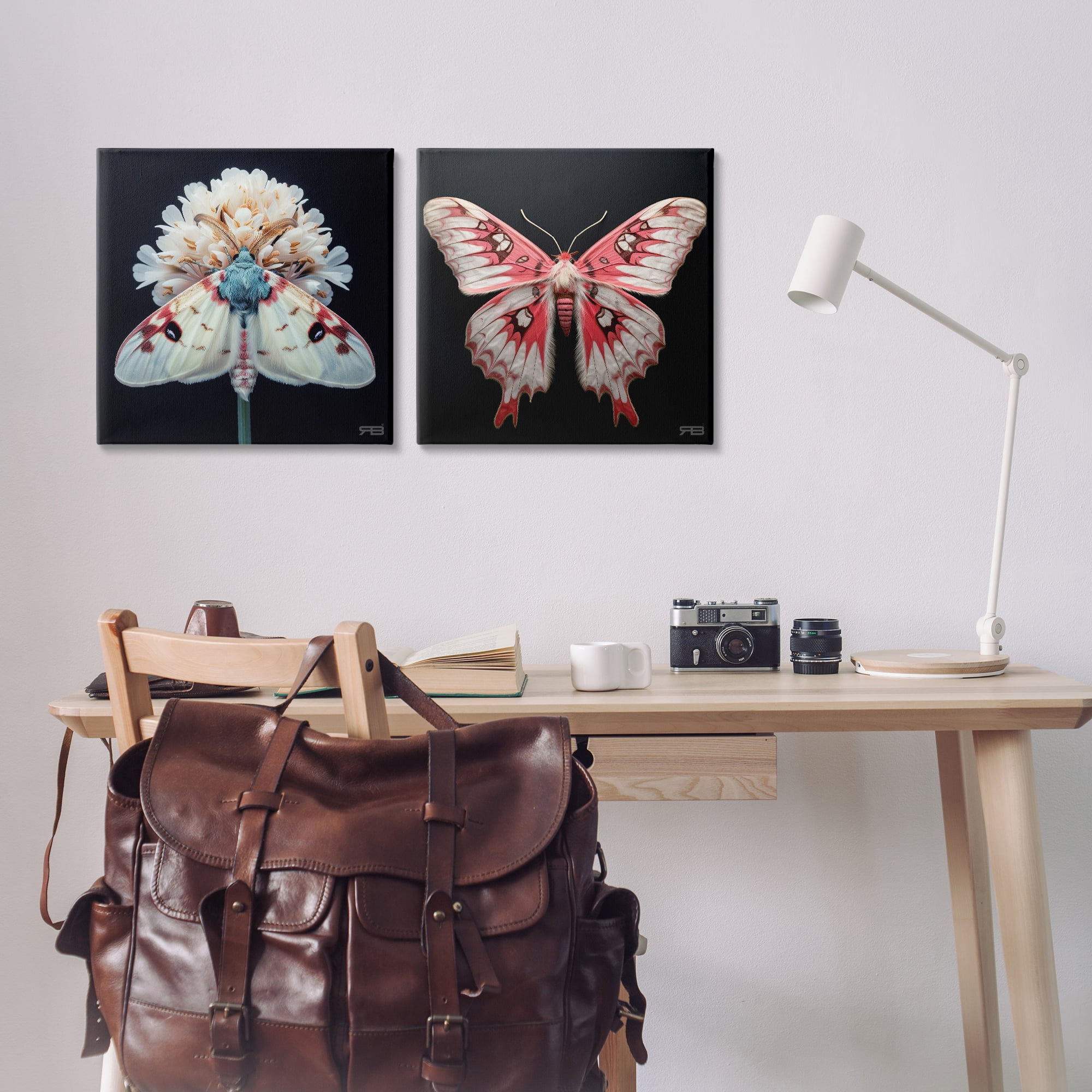 Stupell Industries Detailed Pink Moths Flower Animals Painting Wrapped Canvas Art Print Wall Art, 17 x 17, Set of 2