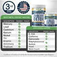thumbnail image 5 of Healthy by Nature HolyLand Zeolite Cleanse Body Detox Powder for Immune Support and Gut Health, 16 oz (400 g), 5 of 7
