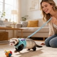 thumbnail image 6 of Small Pet Harness and Leash Set Adjustable Vest Style Walking Harness with Design Bell and Lead for Ferrets, 6 of 6