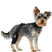 XIRQI Dog Knee Brace for Torn ACL Hind Leg for Support