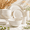Beige White, variant on 24 Piece Wheat Dinnerware Set Beige White Microwave Dishwasher Safe