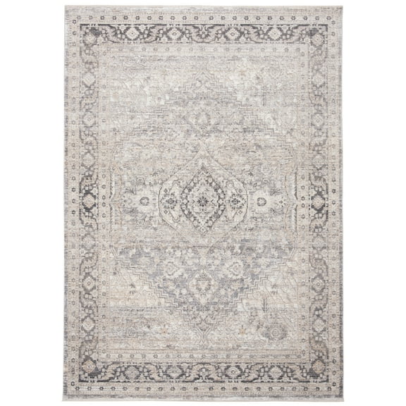 SAFAVIEH Dream Donette Modern Area Rug, Grey/Ivory, 2'6" x 4'