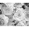 thumbnail image 1 of OhPopsi WALS0206 Petals Wall Mural, Grey, 1 of 2