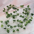thumbnail image 2 of Plastic Artificial Vine, Flexible Reptile Jungle Rattan, Fish Tank For Reptile  Aquarium Fish Store, 2 of 8