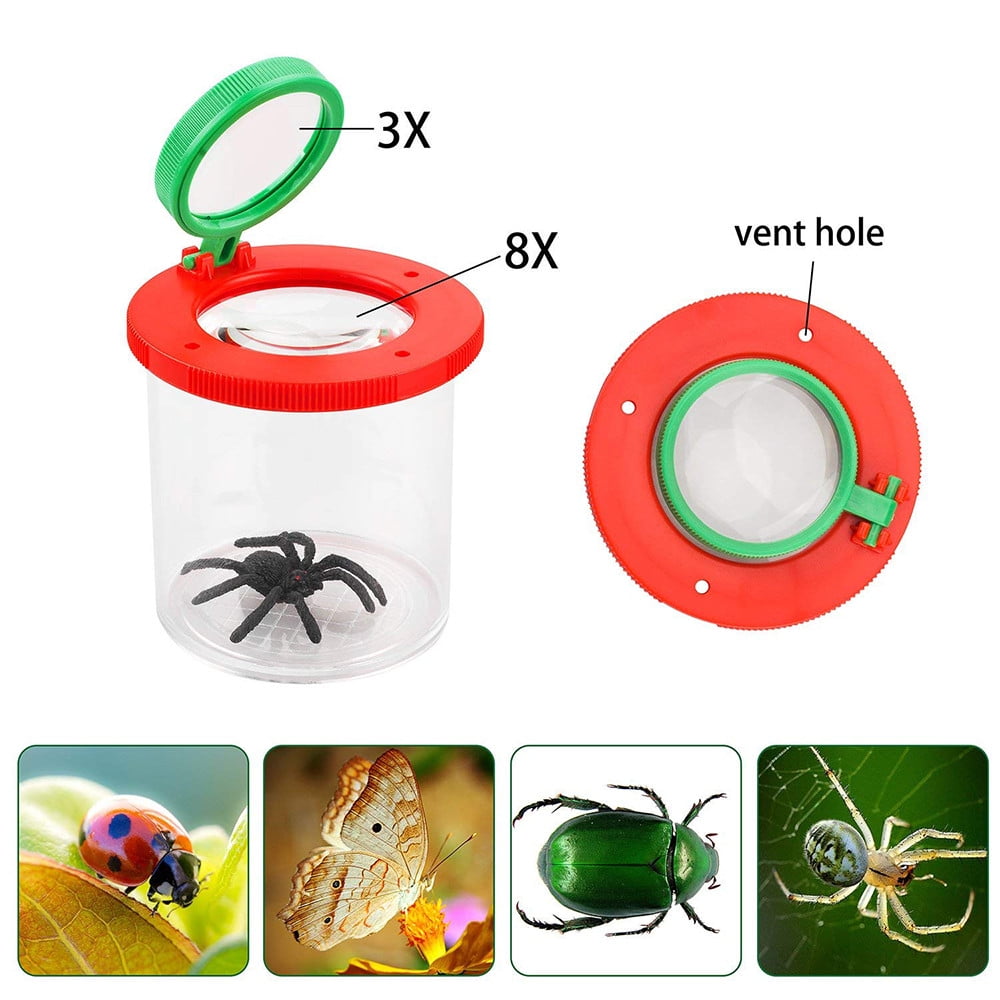 Magnifier Backyard Explorer Insect Bug Viewer Collecting Kit for Children 