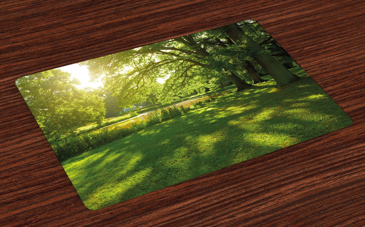 Green Placemats Set of 4 Summer Park in Hamburg Germany Trees Sunlight