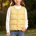 thumbnail image 2 of StSilkitty Puffer Vest for Boys Girls Sleeveless V Neck Button down Jacket Coat Fall Winter Warm Outerwear with Pockets, 2 of 8