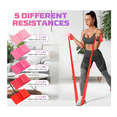 thumbnail image 3 of Bandas Elásticas De Resistencia Ejercicio Fitness Yoga 6 Pcs Malubero rojo rosa, 3 of 4