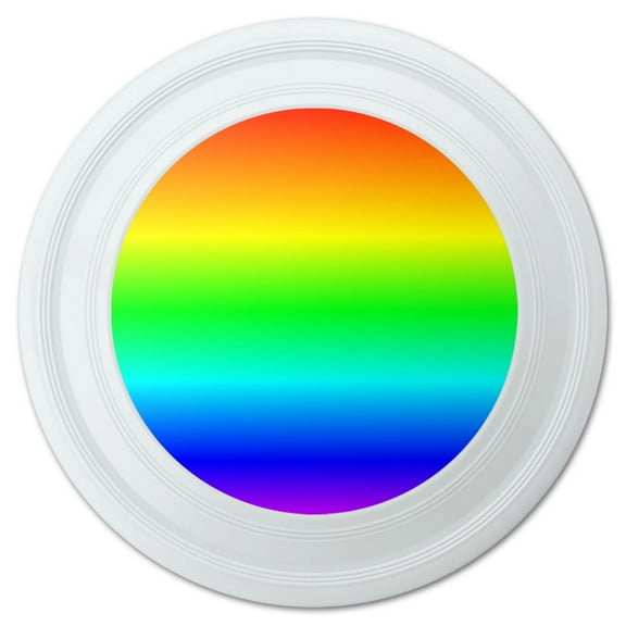 Rainbow Gay Lesbian Novelty 9" Flying Disc