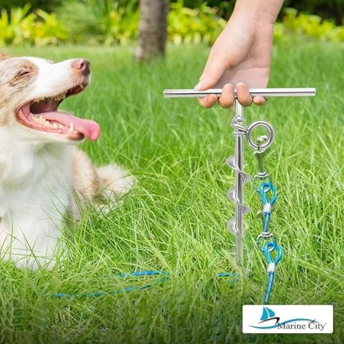 MARINE CITY Spiral Ground Anchor with O-Ring  304 Stainless Steel 4-1/2 x 10-5/8 Inches, Ideal for Boat Mooring, Camping Tents, Puppy Tie-Out Stakes, Backyards, Marines, Yachts Pack of 2