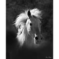 thumbnail image 3 of Drost, David 20x24 Black Modern Framed Museum Art Print Titled - Horse Portrait V, 3 of 5