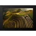 thumbnail image 2 of Tan Phat, Dao 18x13 Black Modern Framed Museum Art Print Titled - Mu Cang Chai - Vietnam, 2 of 5