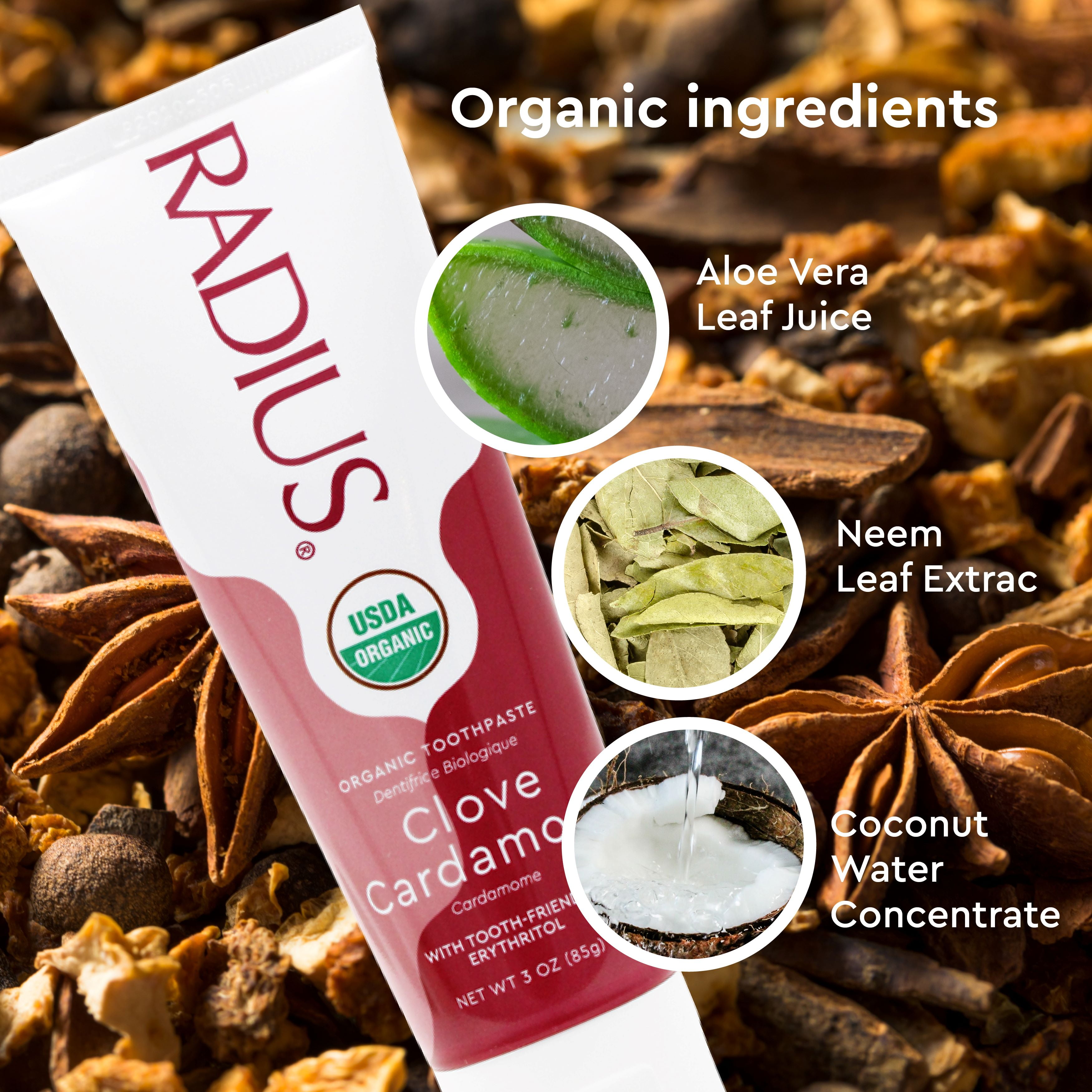 RADIUS USDA Organic Clove Cardamom Toothpaste 2 Count, 3oz , Non Toxic , Designed to Improve Gum Health and Help Prevent Cavities