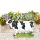 thumbnail image 5 of Figura de vaca lechera, estatua de resina portátil, figura de vaca de resina para jardín, decoración, 5 of 7