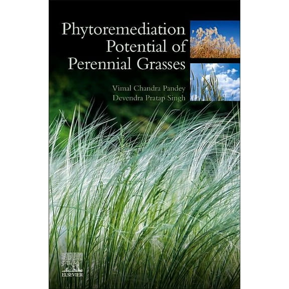 Phytoremediation Potential of Perennial Grasses, (Paperback)