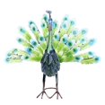 thumbnail image 1 of Escultura De Pavo Real, Resistente A La Intemperie, Fácil Montaje De Bricolaje, Realista, Multifuncional, Elegante, Decoración De Césped De Pavo Real De Metal Para Exteriores, 1 of 7