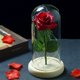 thumbnail image 3 of Flor de rosa eterna del día de San Valentín con luces de cadena de hadas en vidrio (rojo) Likrtyny Para estrenar, 3 of 6