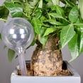 thumbnail image 4 of Riego por goteo con forma de bola transparente de PVC para plantas color blanco 2 uds FLhrweasw, 4 of 4